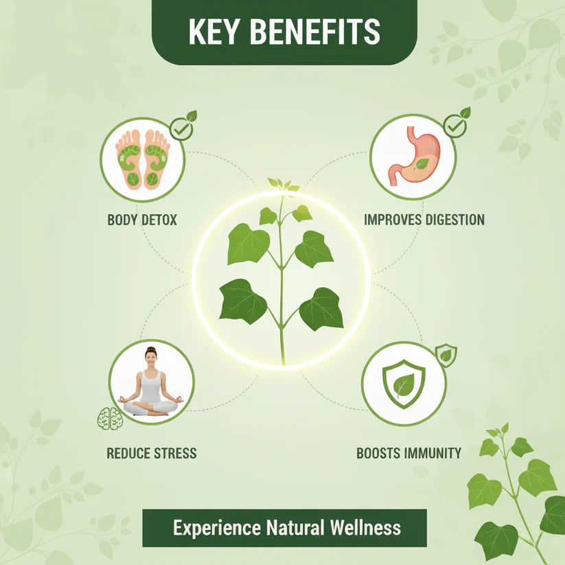 Herbal Giloy Patches 🍃✨ (Buy 1 Get 1 Free🔥🔥)